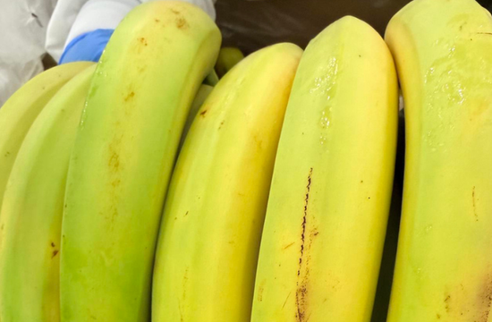 From farm to fruit box: What's affecting bananas?