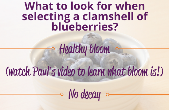Fruit Notes #3: How To Select The Perfect Blueberry with Paul Sigona