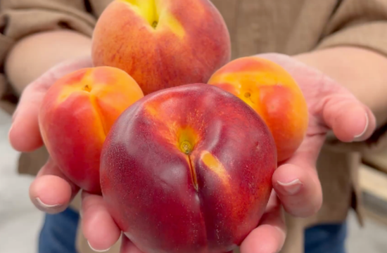 Stone Fruit Season Is Here: Here's How to Keep It Fresh